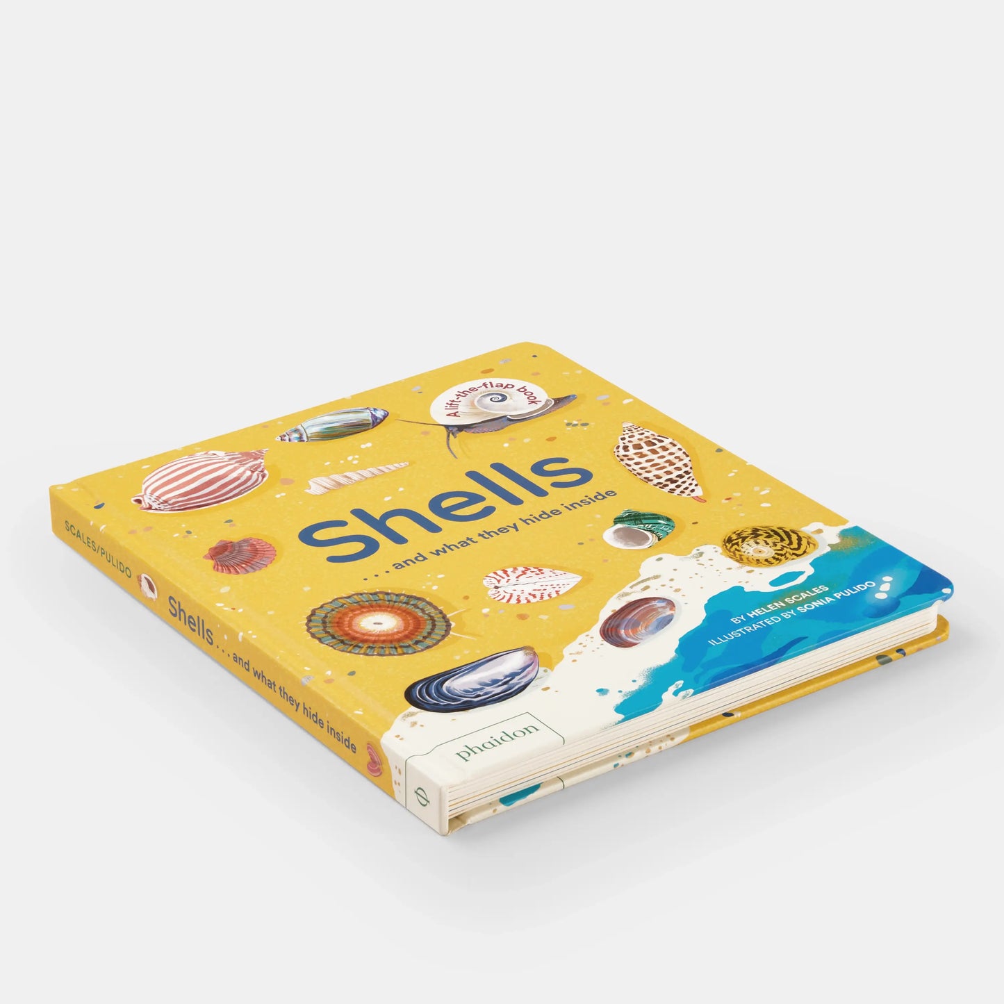 Shells and What They Hide Inside