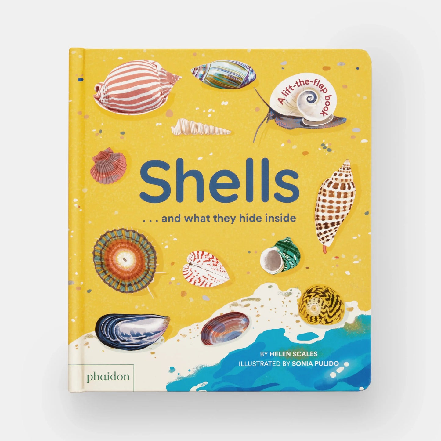 Shells and What They Hide Inside