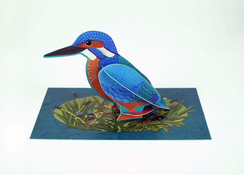 Art Angels Pop-Out Pets Alice Melvin Kingfisher Card