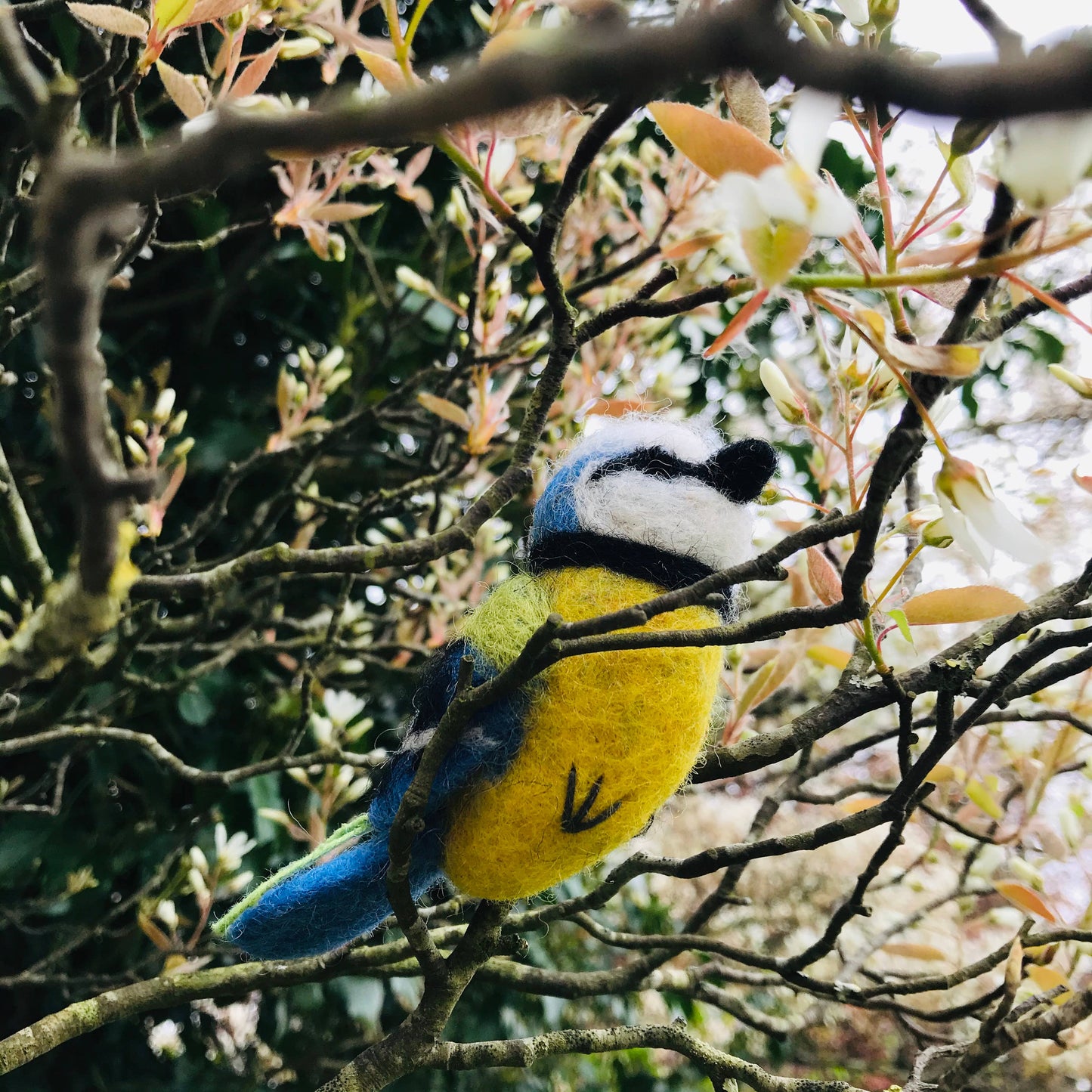 Bella the Blue Tit Biodegradable Easter Hanging Decoration