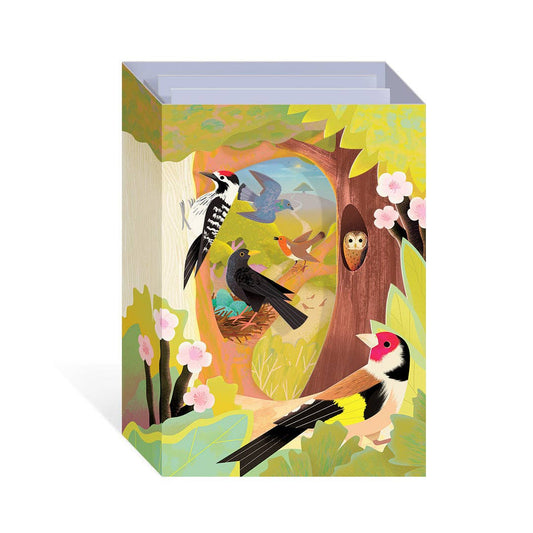British Birds Pop Up Greeting Card