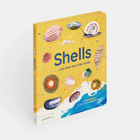 Shells and What They Hide Inside