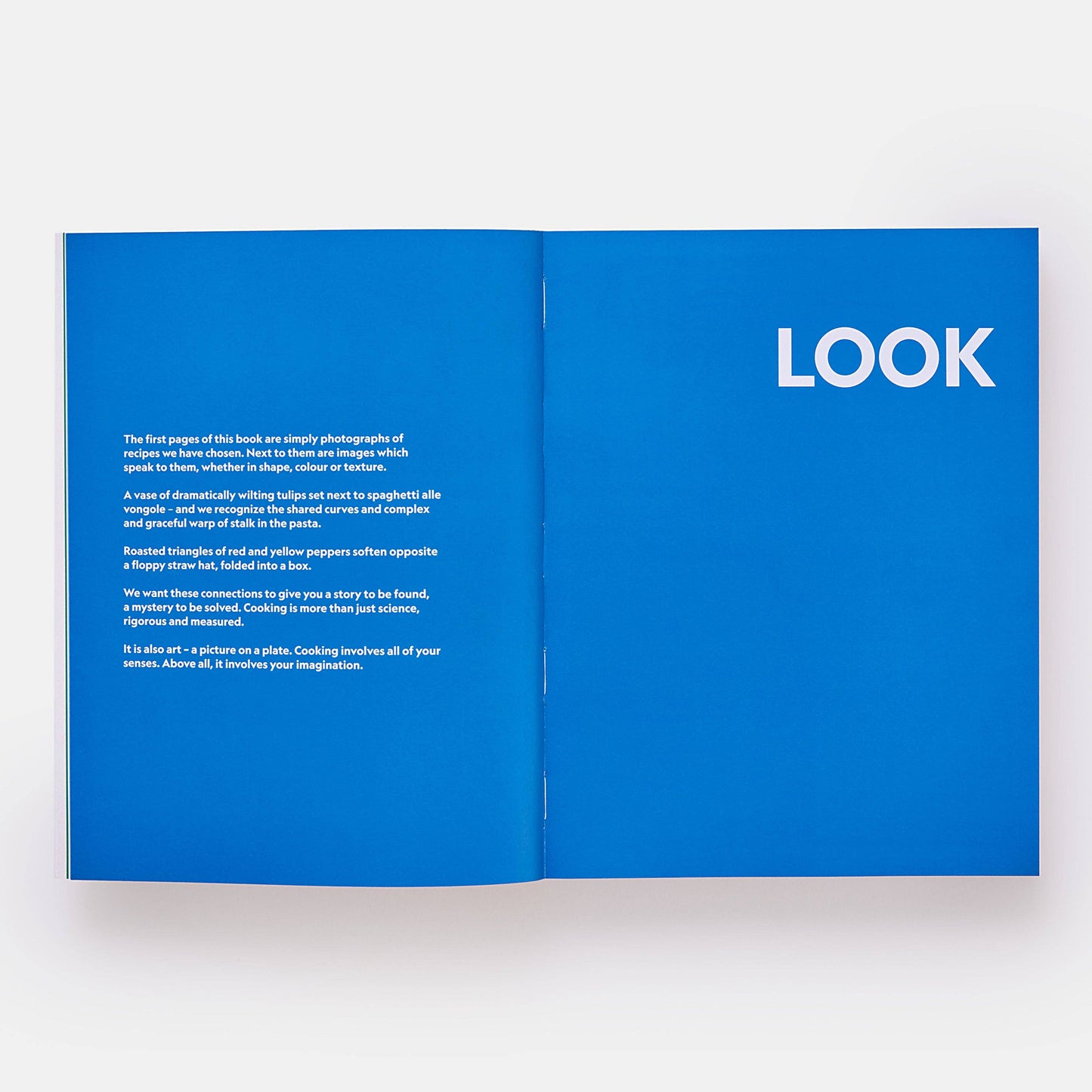 The River Cafe Look Book: Recipes for Kids of all Ages