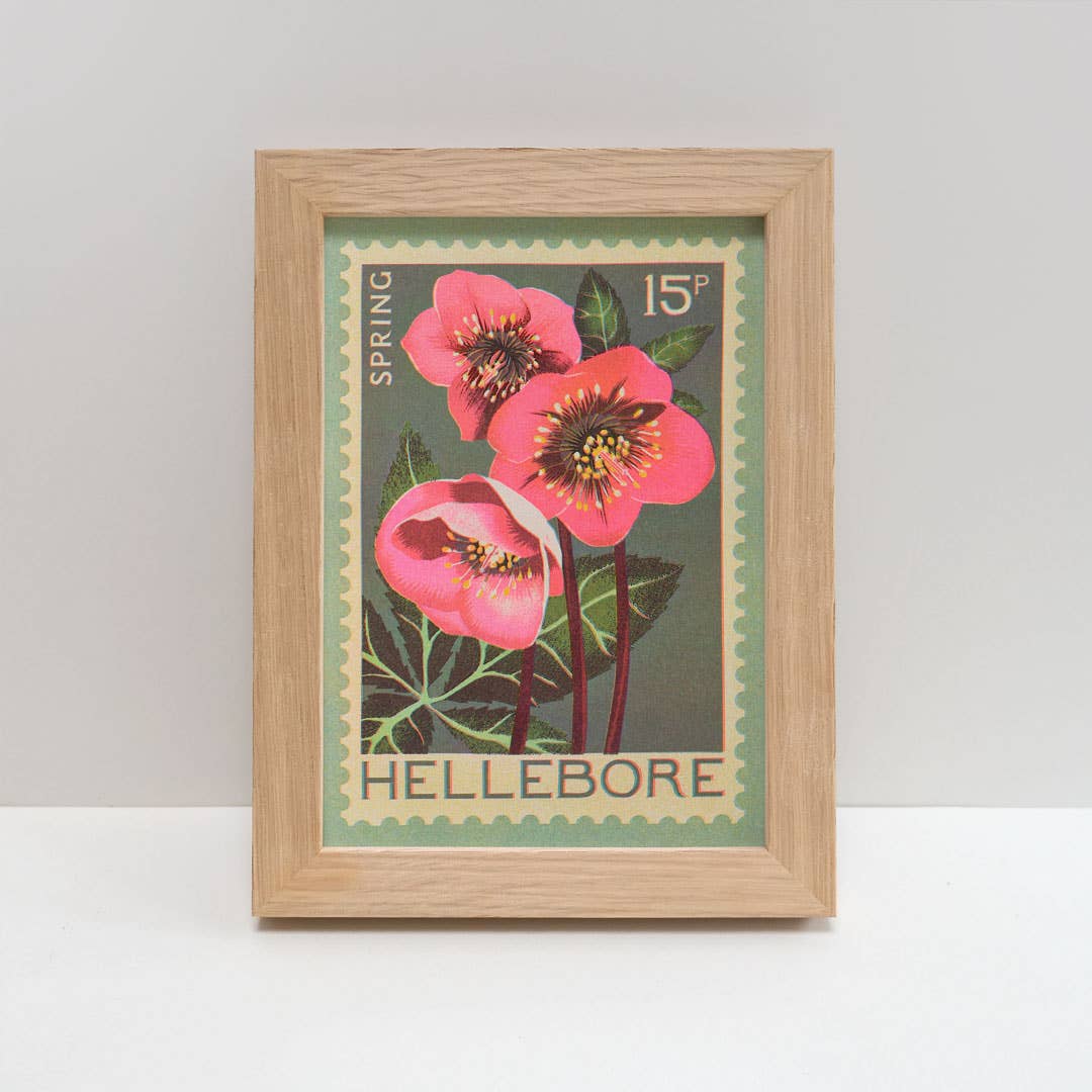 Hellebore | A5 Risograph Print, wall art | Spring, stamp