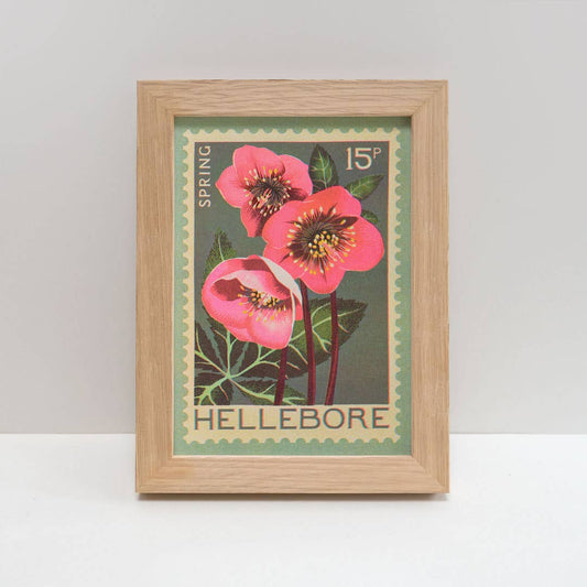 Hellebore | A5 Risograph Print, wall art | Spring, stamp