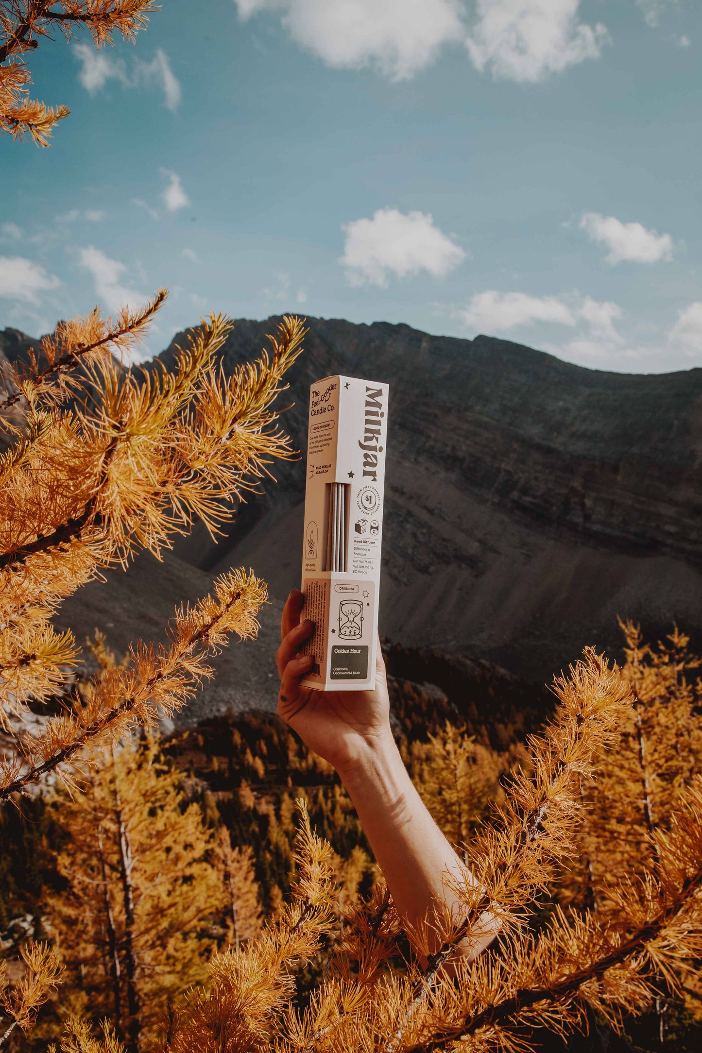 Golden Hour - Cashmere, Cedarwood & Musk 4oz Reed Diffuser