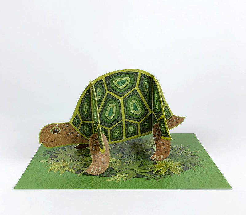 Art Angels Pop-Out Pets Alice Melvin Tortoise Card