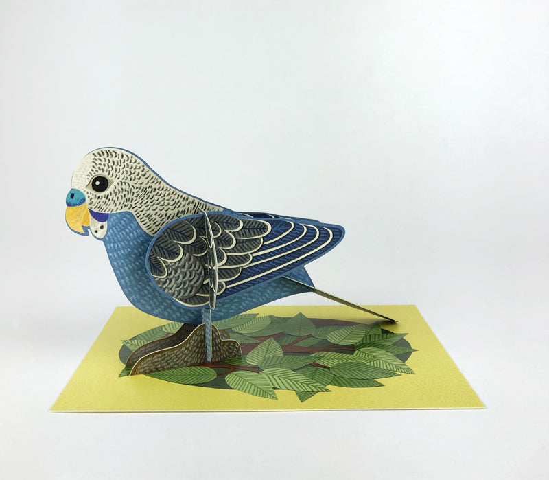 Art Angels Pop-Out Pets Alice Melvin Budgie Card