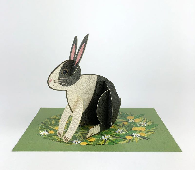 Art Angels Pop-Out Pets Alice Melvin Rabbit Card