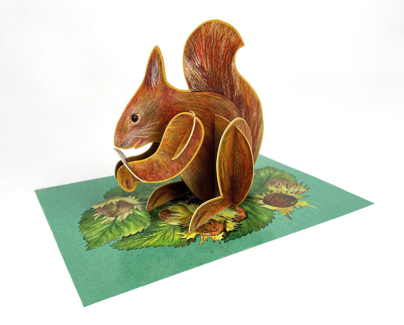 Art Angels Pop-Out Pets Alice Melvin Squirrel Card