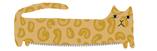 Lenny Leopard Pencil Case