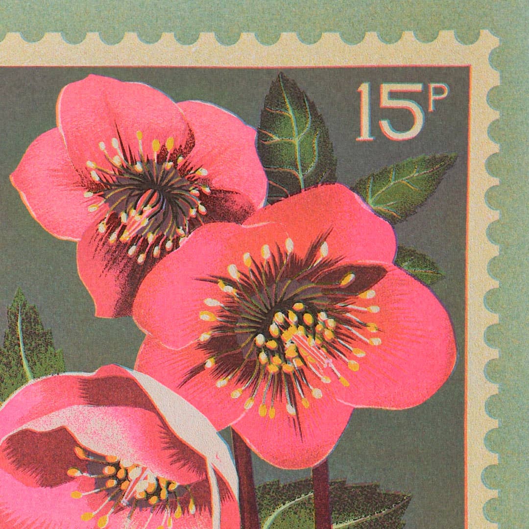 Hellebore | A5 Risograph Print, wall art | Spring, stamp